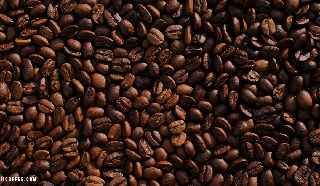 Kona Coffee Specialness