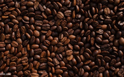 Kona Coffee Specialness