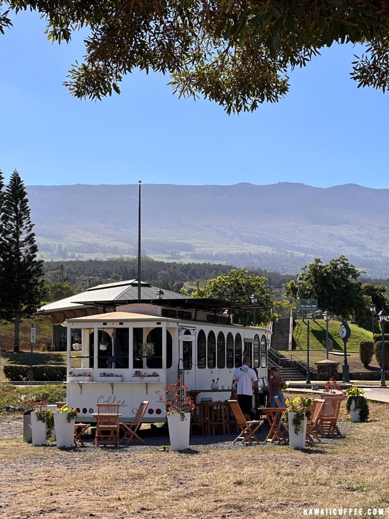 Paia Coffee
