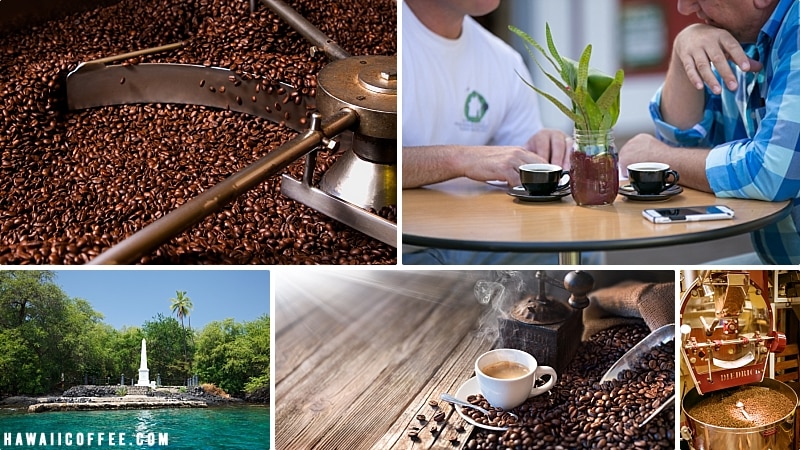 Hawaii Coffee Farms Kona Region