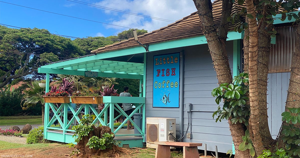 Little Fish Coffee Hawaii Coffee Shops & Mobile Coffee Spots