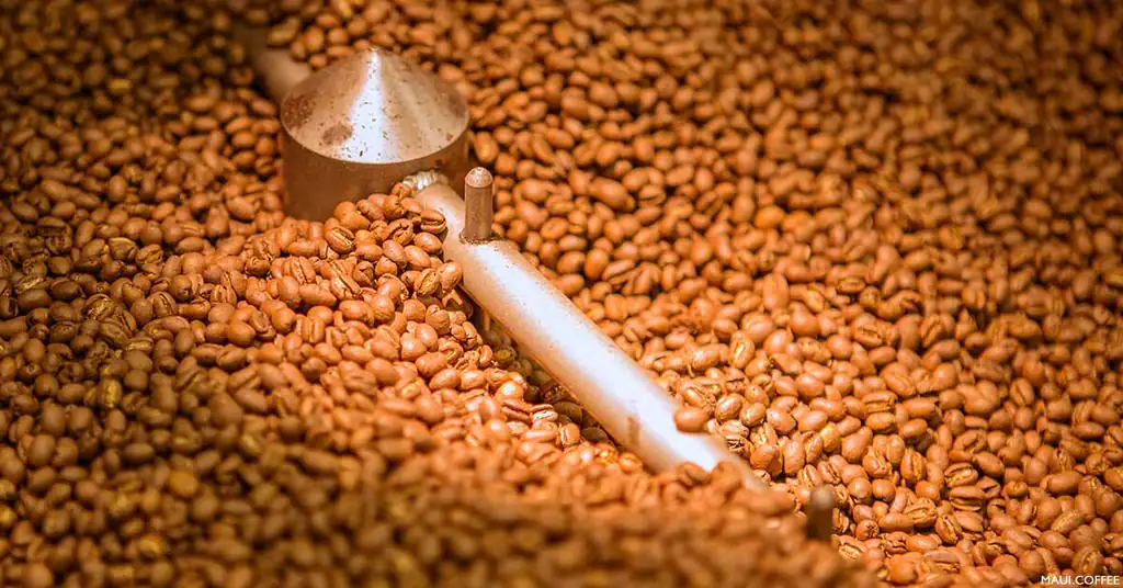 coffee beans