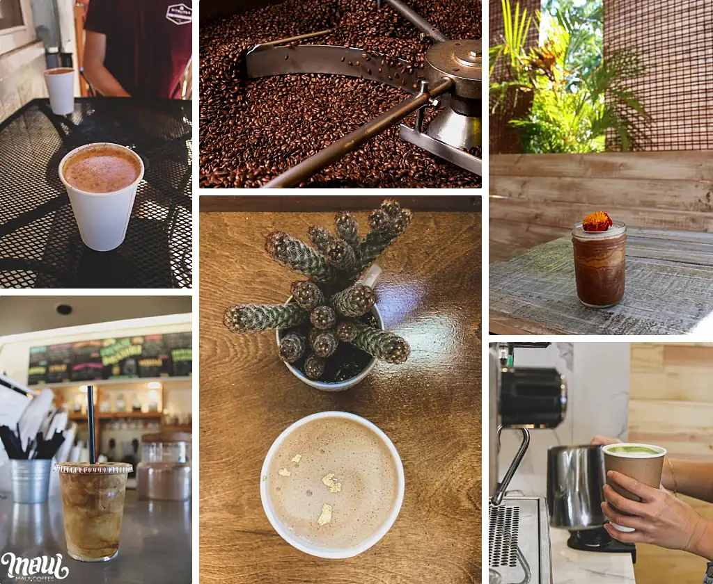 gourmet coffee drinks