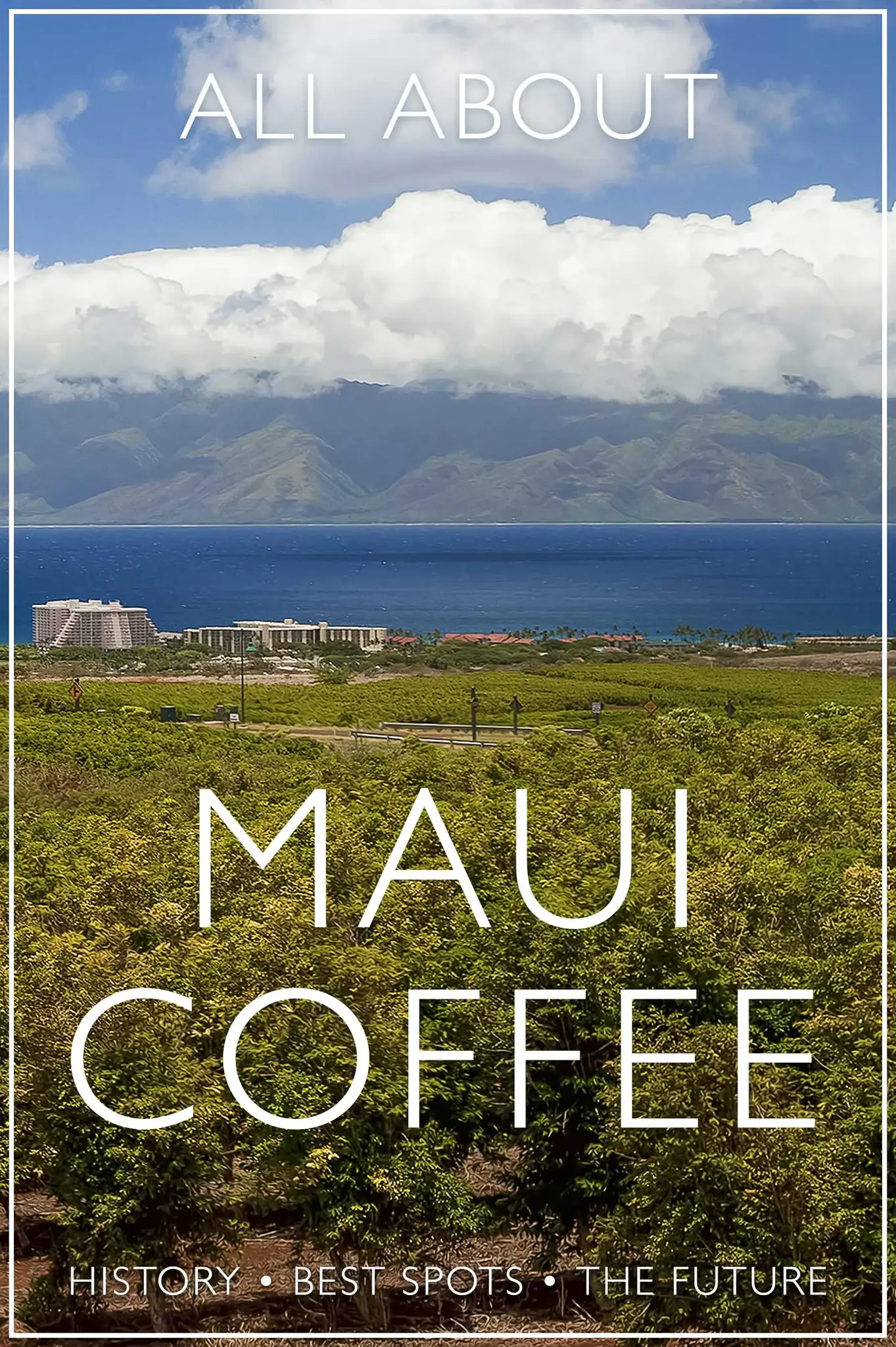 All About Maui coffee